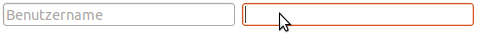 Zwei Eingabefelder mit Placeholder-Attribut. Das zweite ist fokussiert, der Placeholder wird nicht angezeigt.